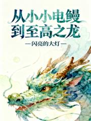 从小小电鰻到至高之龙